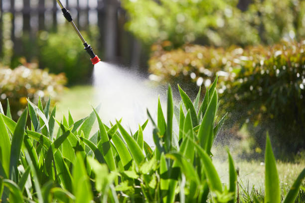 24/7 Emergency Ant Control experts in Brookings, SD